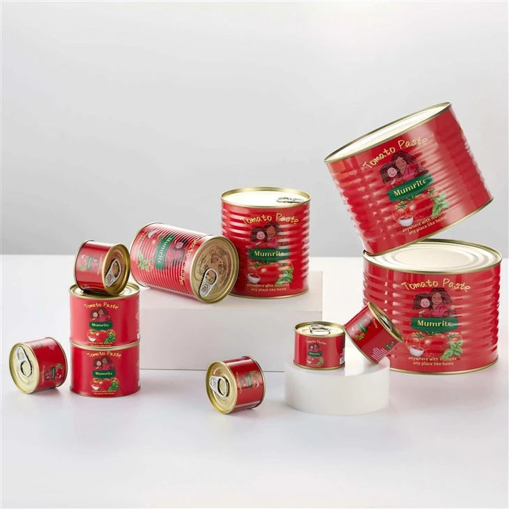 Gemakkelijk te openen tomatenpuree uit blik